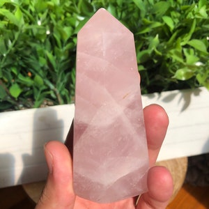 Puede incluir: Una torre de cristal de cuarzo rosa, una gema de color rosa p&aacute;lido con una superficie pulida y facetada. El cristal se sostiene en una mano, con un fondo de hojas verdes.