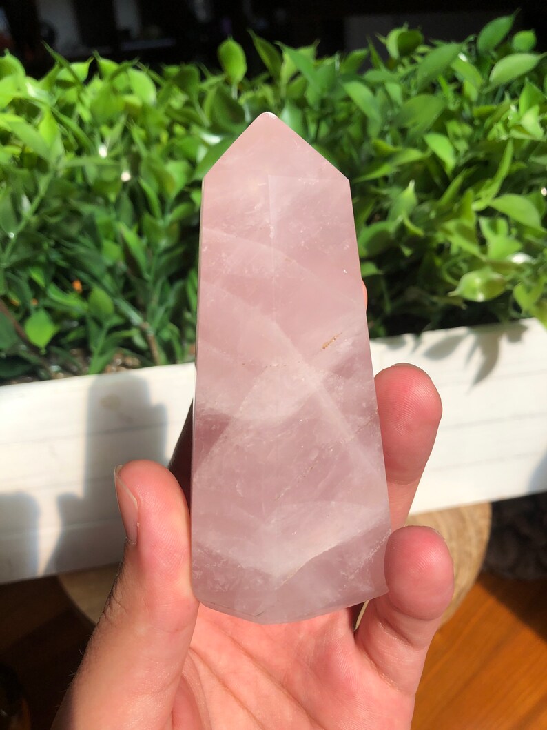 Puede incluir: Una torre de cristal de cuarzo rosa, una gema de color rosa p&aacute;lido con una superficie pulida y facetada. El cristal se sostiene en una mano, con un fondo de hojas verdes.