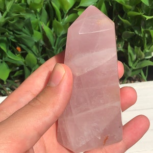 Puede incluir: Un obelisco de cuarzo rosa pulido, un cristal rosa claro con una parte superior puntiaguda. El cristal se sostiene en una mano, con un fondo verde frondoso. El obelisco es de color rosa p&aacute;lido.
