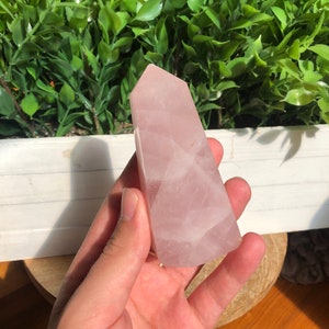 Puede incluir: Una punta de cristal de cuarzo rosa pulido. El cristal rosa tiene forma facetada y una parte superior puntiaguda. El fondo incluye follaje verde y una jardinera de madera blanca.