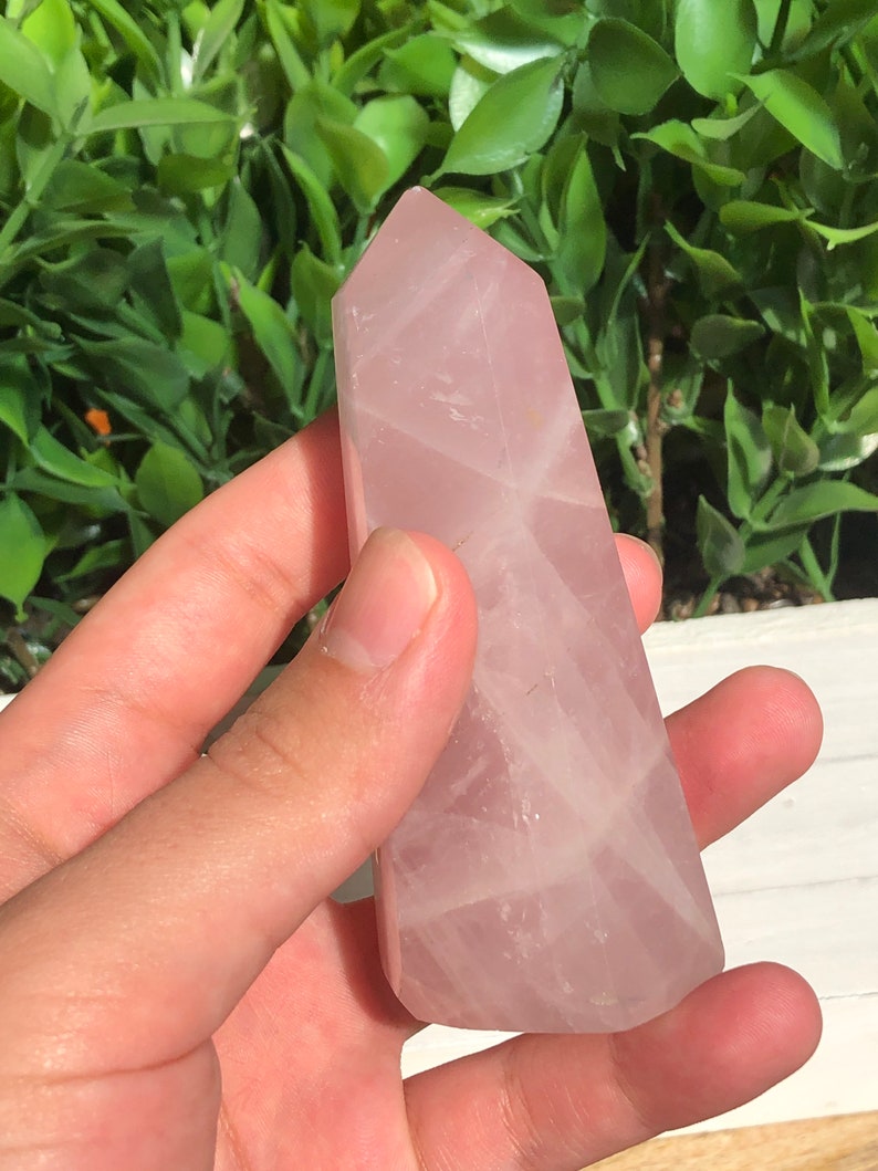 Puede incluir: Una punta de cristal de cuarzo rosa pulido. El cristal es de color rosa p&aacute;lido, con patrones internos visibles. Tiene la forma de un prisma rectangular alto con una parte superior puntiaguda. El cristal se sostiene en una mano sobre un fondo de follaje verde.