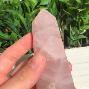 Puede incluir: Una torre de cristal de cuarzo rosa pulido. El cristal rosa tiene una superficie facetada y una parte superior puntiaguda. El cristal se sostiene en una mano sobre un fondo de follaje verde.