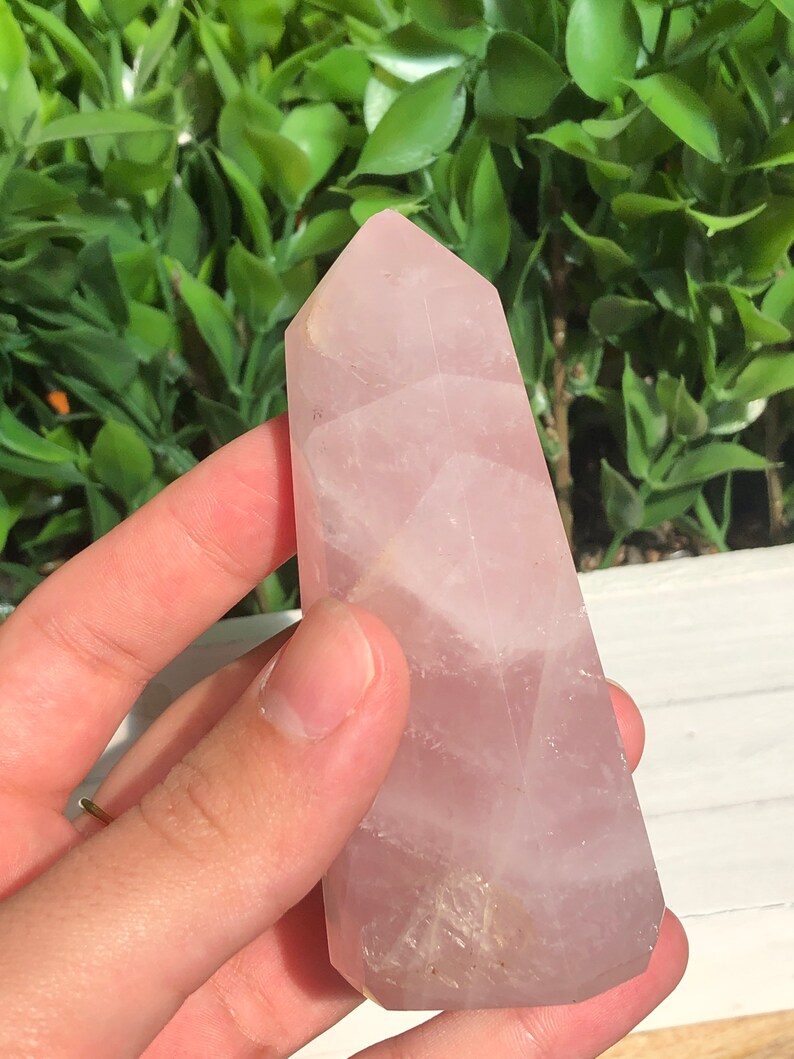 Puede incluir: Una torre de cristal de cuarzo rosa pulido. El cristal rosa tiene una superficie facetada y una parte superior puntiaguda. El cristal se sostiene en una mano sobre un fondo de follaje verde.