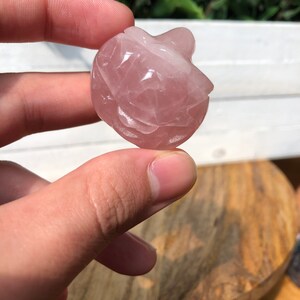 May include: A carved rose quartz heart, a pink crystal with a smooth, polished surface.