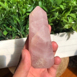 Puede incluir: Un obelisco de cristal de cuarzo rosa pulido. El cristal rosa tiene forma facetada y una parte superior puntiaguda. La piedra se sostiene en una mano, con follaje verde en el fondo. El cristal mide unos 10 cm de altura.