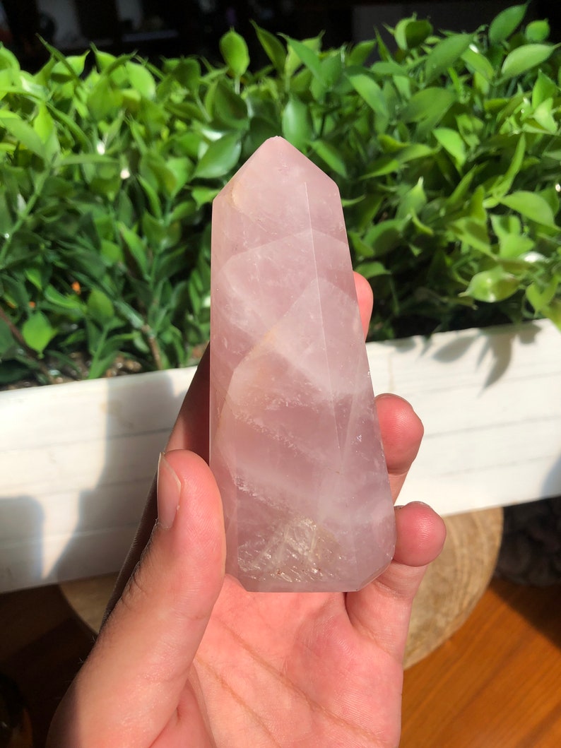 Puede incluir: Un obelisco de cristal de cuarzo rosa pulido. El cristal rosa tiene forma facetada y una parte superior puntiaguda. La piedra se sostiene en una mano, con follaje verde en el fondo. El cristal mide unos 10 cm de altura.