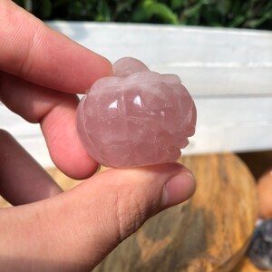 May include: A carved rose quartz pumpkin, a pink crystal with a smooth, polished surface.