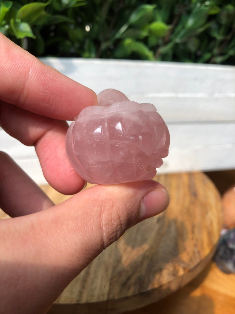 May include: A carved rose quartz pumpkin, a pink crystal with a smooth, polished surface.