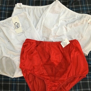 Smart Fit 42483W Full Cut Nylon Virgin White Lace Trim Brief Panty Ladies- 4  sizes  5,6,7,9