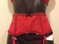 Corset Lace Garter Belt Stretch Back White 0r Red- Waist 22- 48 great Wedding gift Ship out daily