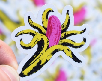 The Velvet Underground parody octopus version, stickers individually or in packs to stick anywhere