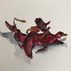 Fine Art Giclee Print - Spices of Life#4 Chillies