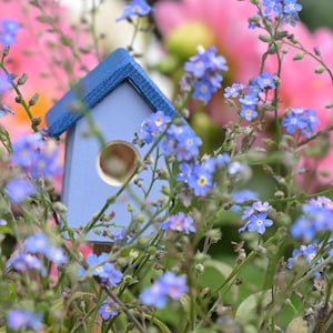 Könnte beinhalten: Ein kleines blaues Vogelhaus mit einer runden Öffnung ist von zarten blauen Vergissmeinnicht-Blumen umgeben. Das Vogelhaus ist aus Holz und hat ein schlichtes Design.
