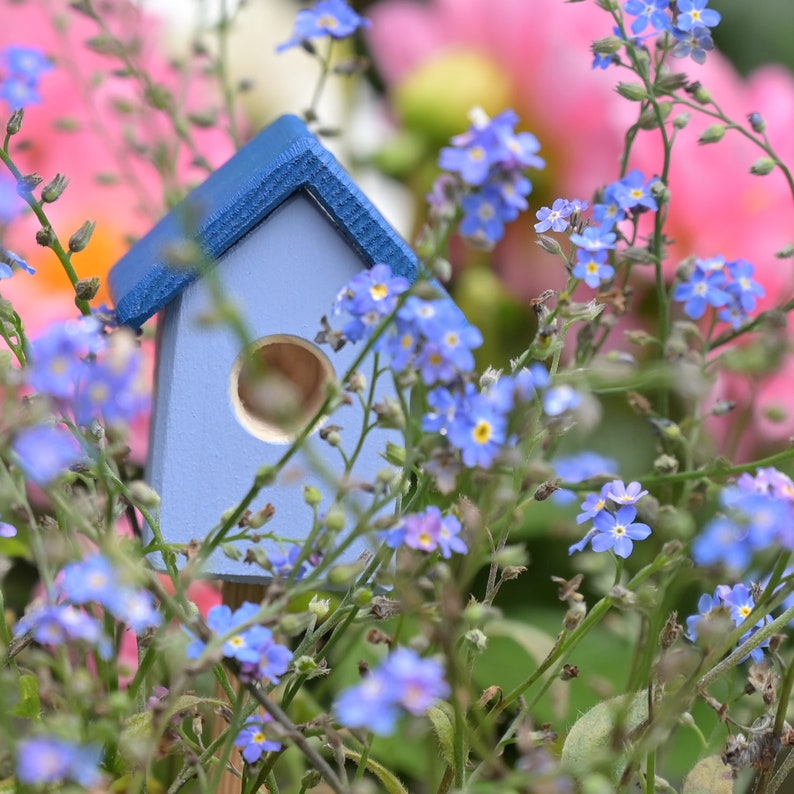 Hummelbudn Pink Light Blue Beautiful Garden Decoration image 3