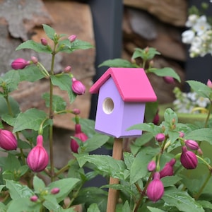 Hummelbudn Pink/Purple - Decoration for the flower box, balcony, garden - 301402
