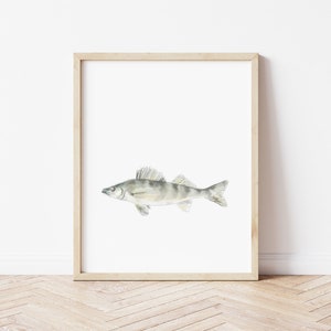 Walleye Fish Print: Nursery Art Decor