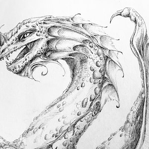 Original Pen Drawing Dragon