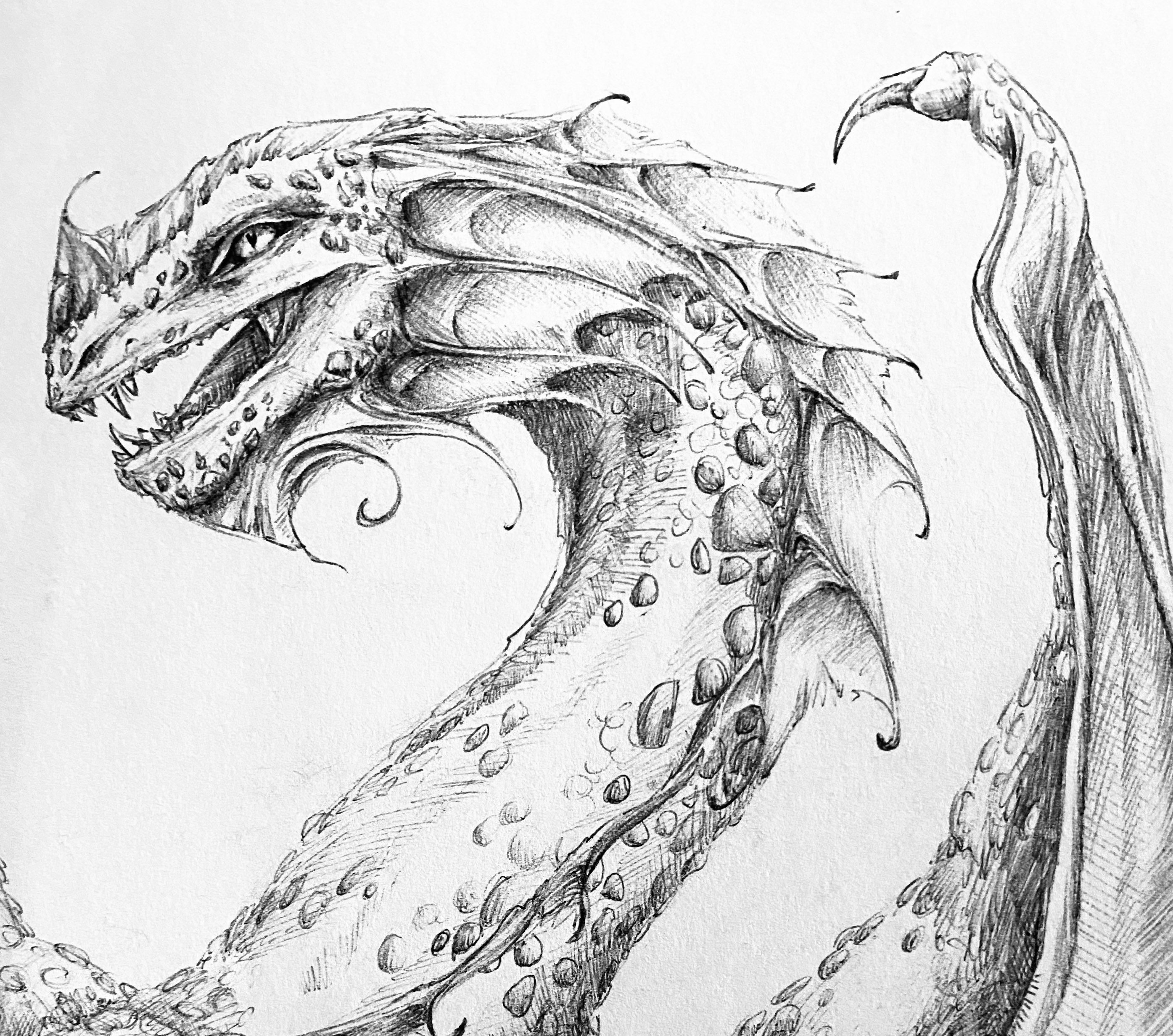 drawings of dragons realistic