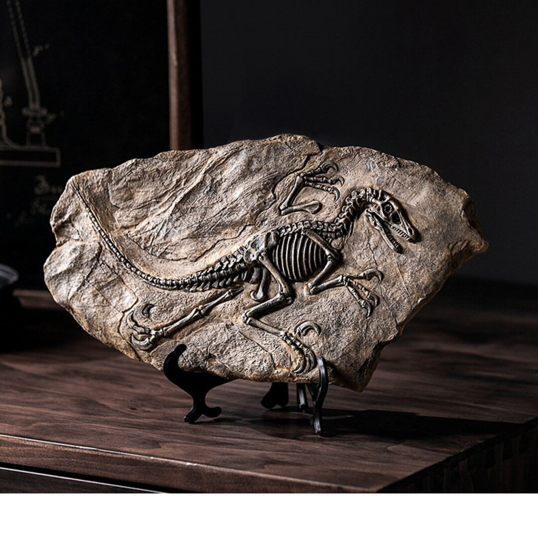 Ancient Home Craft Dinosaur Fossil Statue Small Desktop - Etsy