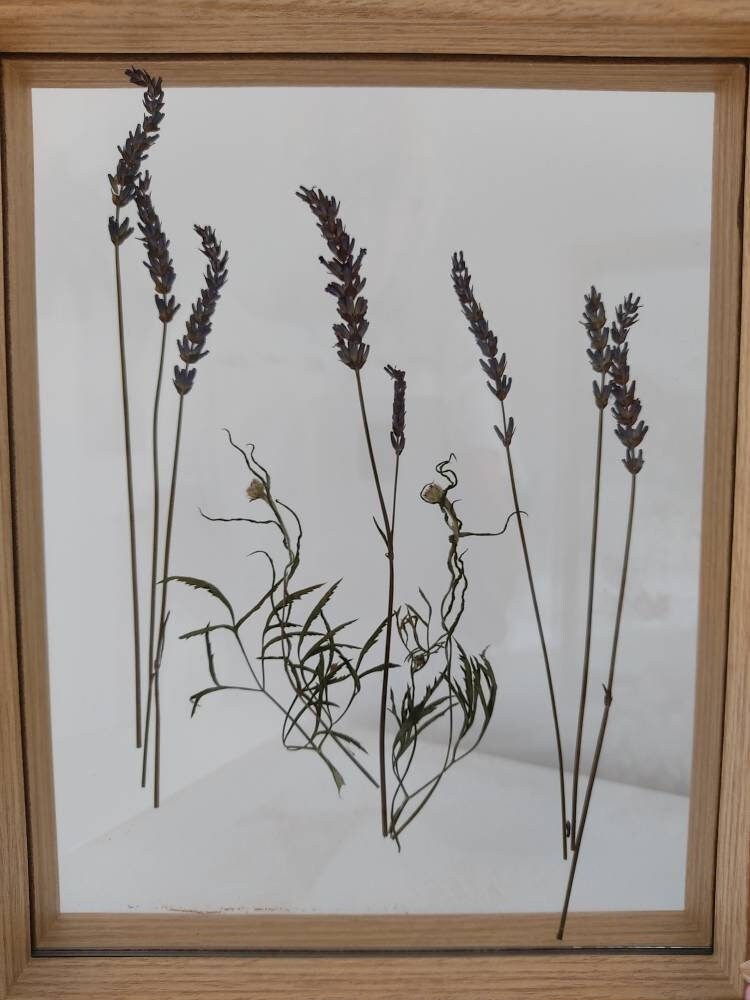 Cadre à Poser Fleurs Séchées