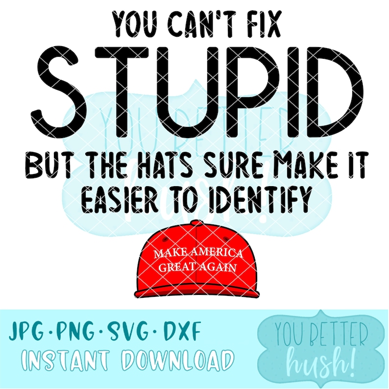 I Cant Be This Stupid You Can't Fix Stupid... PNG/JPG/SVG file for Cricut and | Etsy