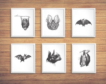 Vintage Halloween vleermuizen bedrukbare muur kunst, Set van 6 zwart & wit vleermuis graphics, Verschillende maten