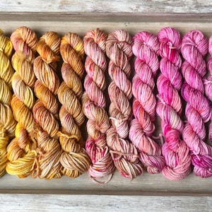 Hidden DK Base Mini Set - Hand Dyed Yarn- 10 Mini Skeins - 49 yards each
