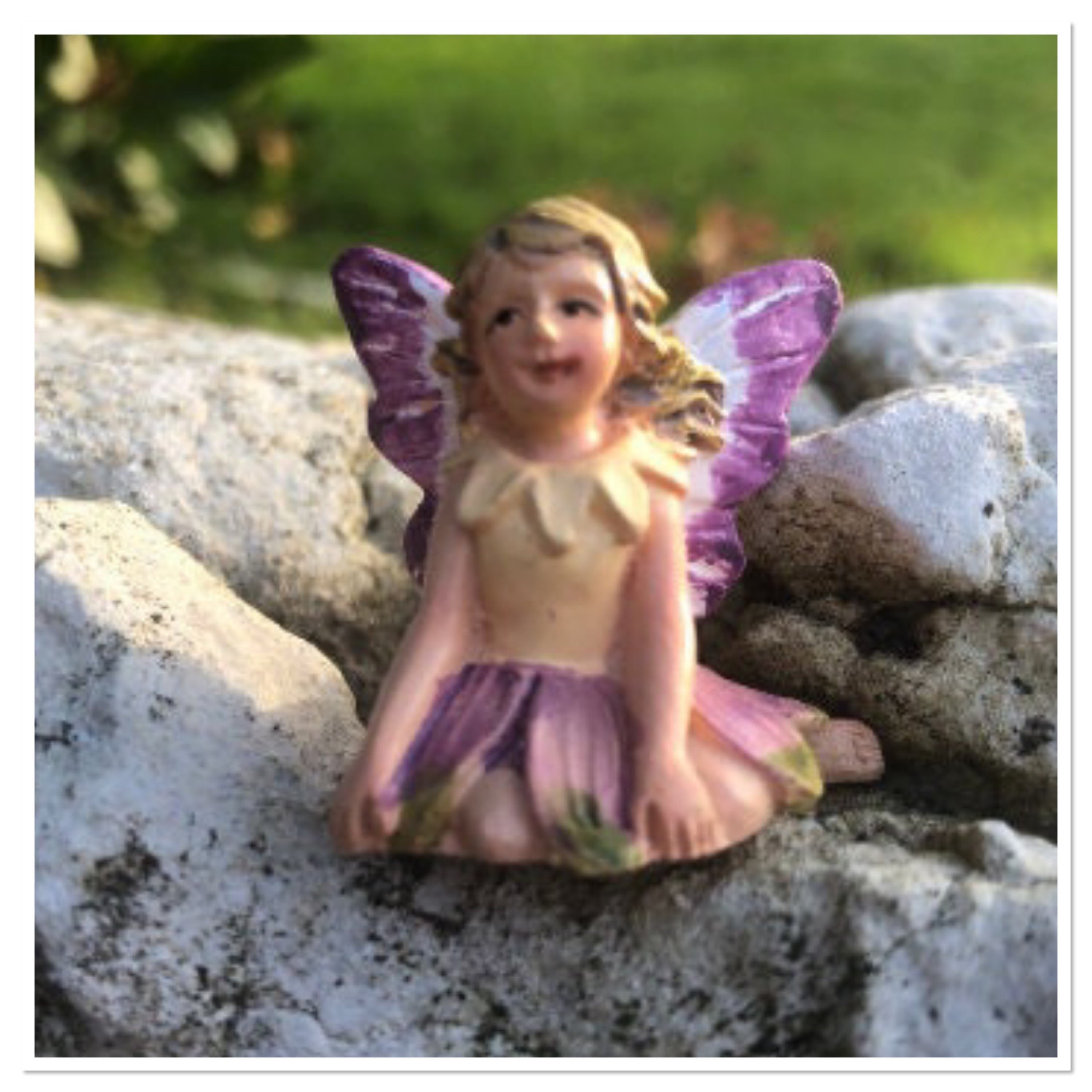 Fairy Landing Pad Includes Miniature Fairy, Fairy Door, Fairy