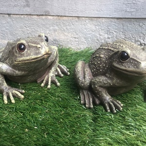 Pair of Life like Frogs,  Garden Gifts, Frog Gifts, Pond Decoration, Pond Ornaments, Lawn Ornaments, Garden Frogs, Large Frogs ,