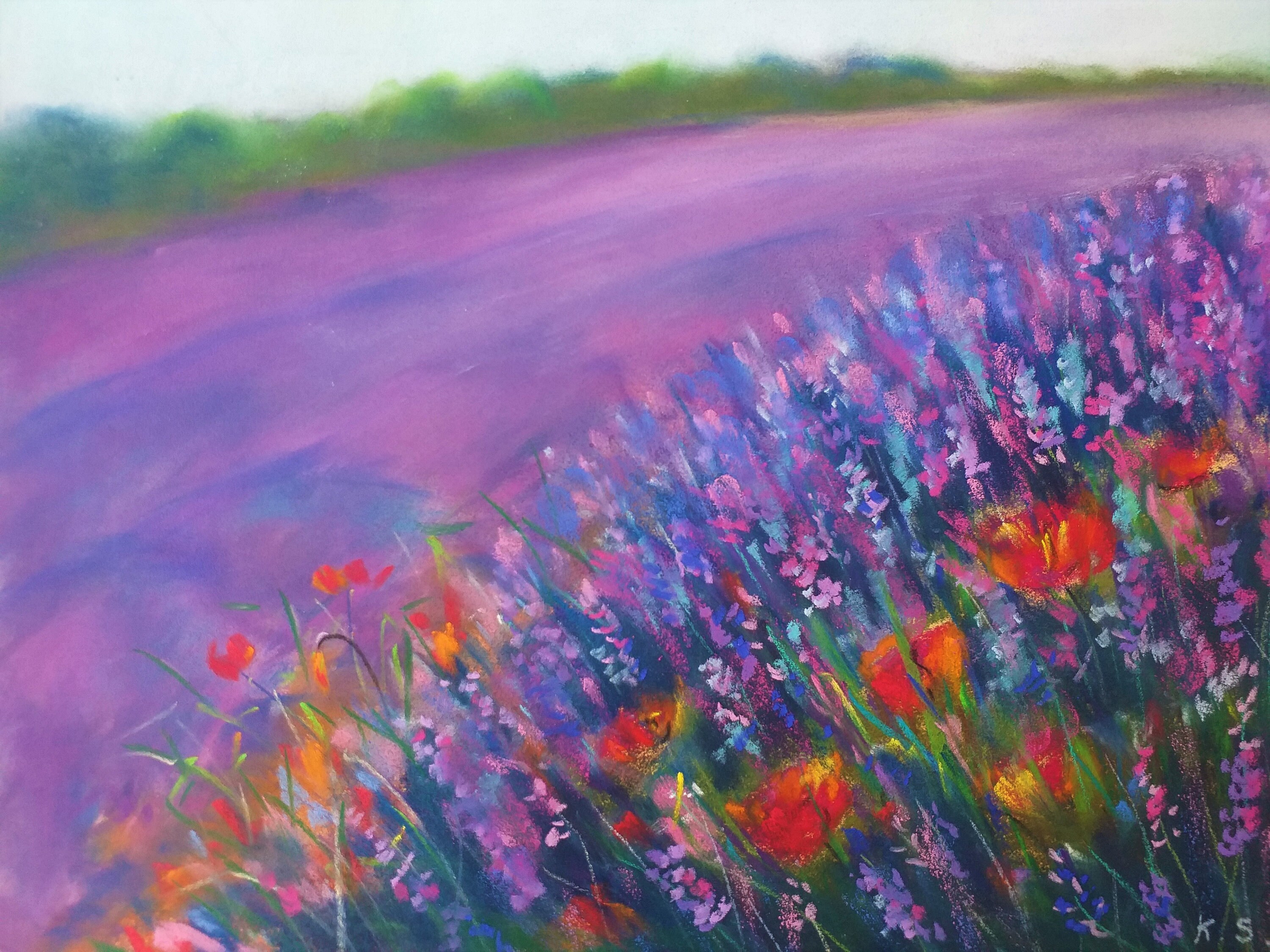 Champ de Lavande Coquelicot Peinture Art Original Pastel Paysage Provence Mural Floral 7x9, 5 Pouces