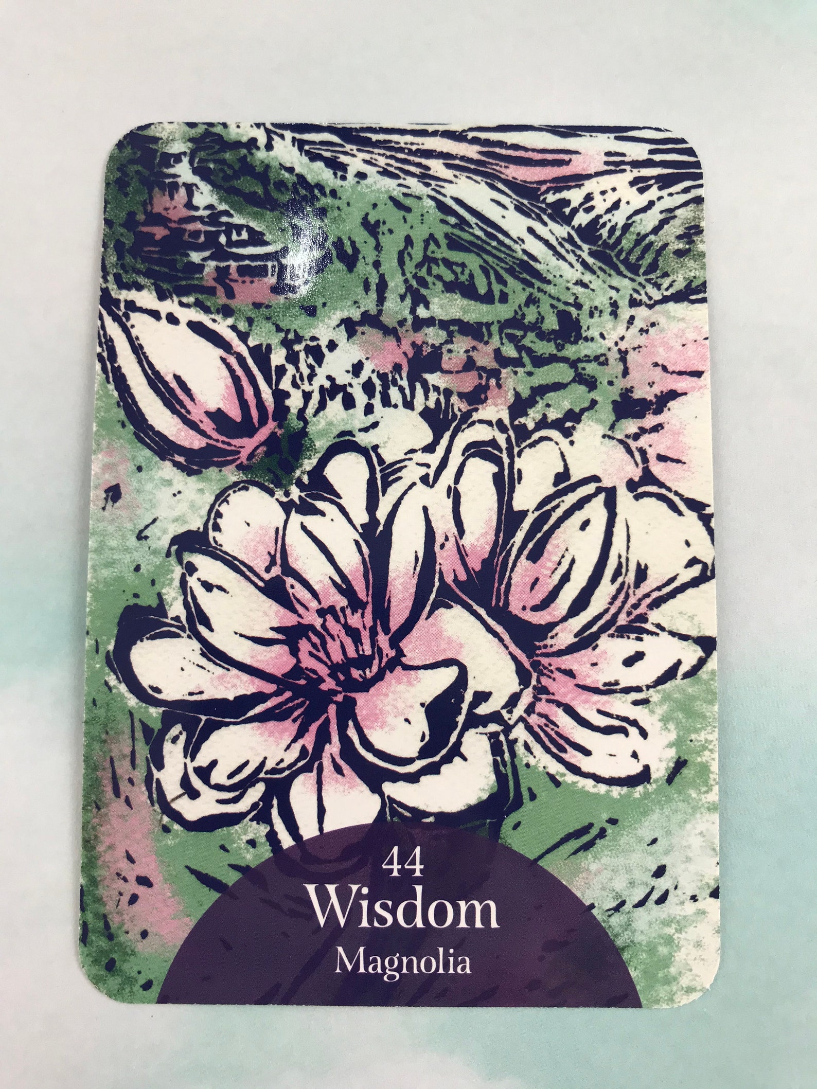 The Language of Flowers Oracle Sacred Botanical Guidance and Etsy
