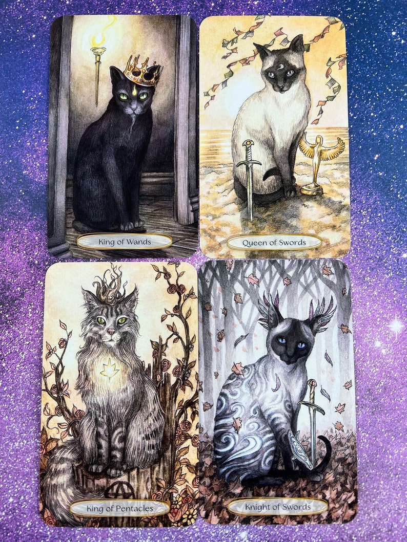 Soul Cats Tarot Cards 78card Deck and 216page Book Etsy