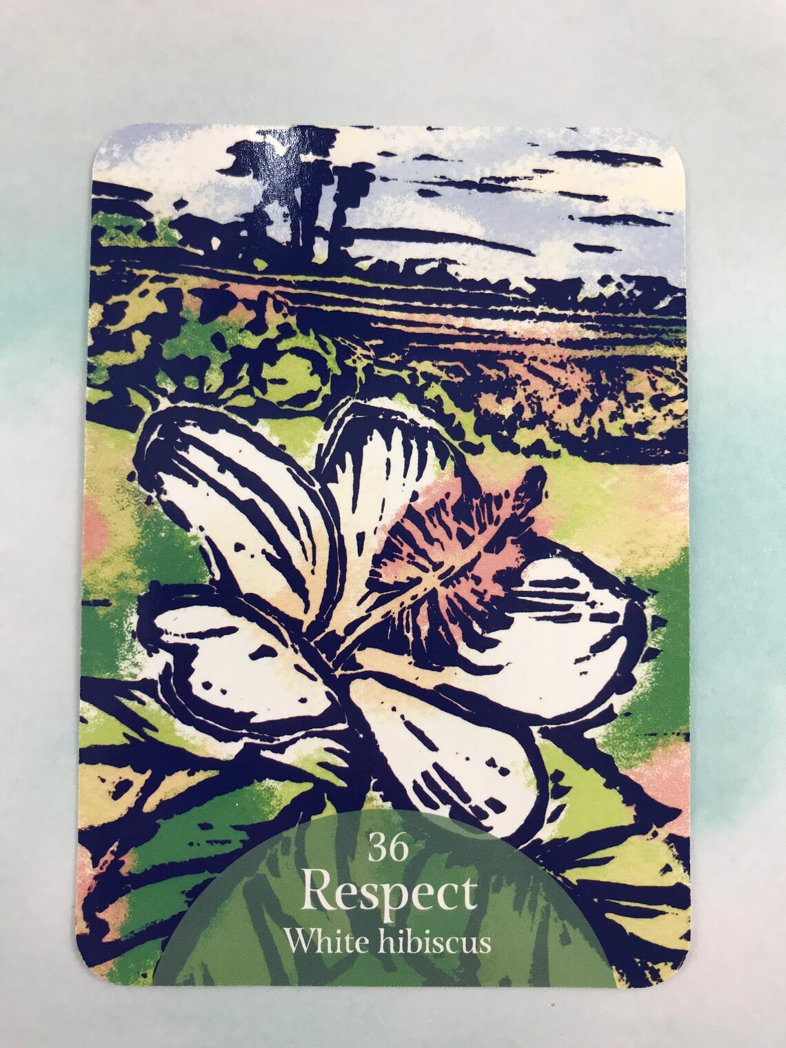 The Language of Flowers Oracle Sacred Botanical Guidance and Etsy