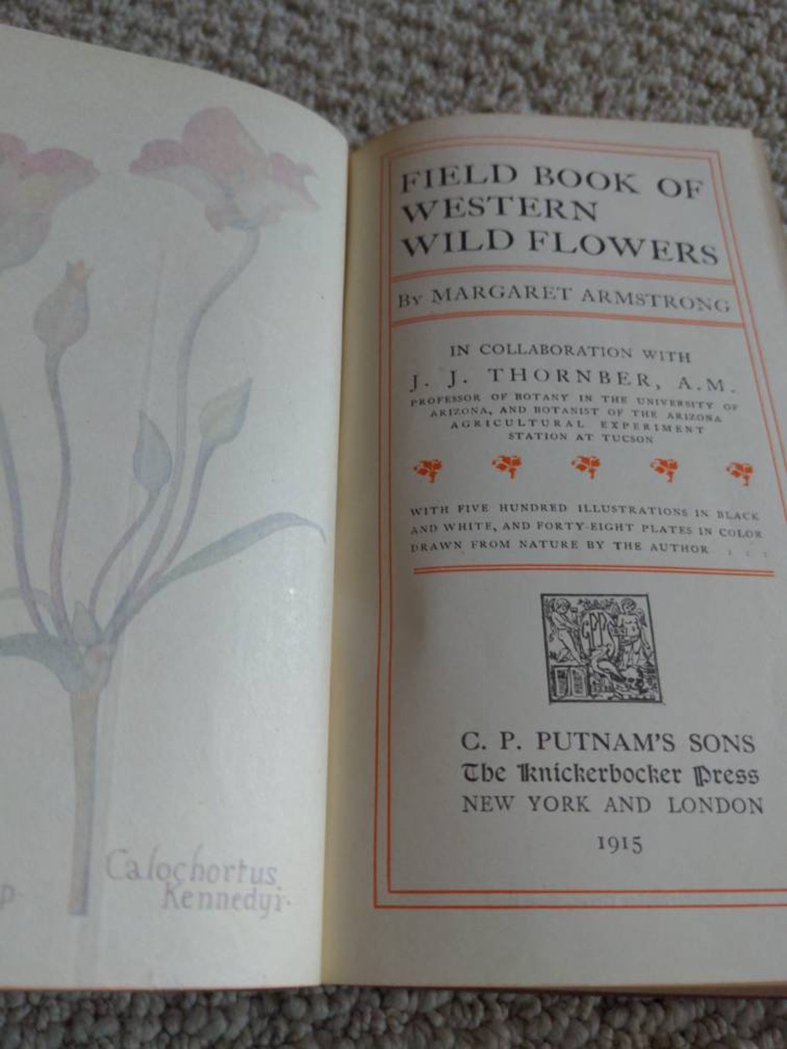 1915 Field Book of Western Wild Flowers by Margaret Armstrong Etsy