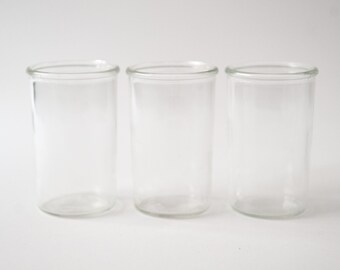 Set of 3 Recycled 4" Glass Jars for Clear Glass Plant Propagation Station