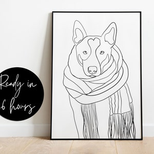 Puede incluir: Dibujo de l&iacute;nea de un perro con una bufanda. El perro es un pastor australiano blanco y negro con la nariz negra y los ojos marrones. La bufanda es de rayas blancas y negras.