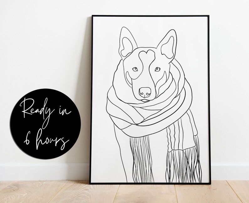 Puede incluir: Dibujo de l&iacute;nea de un perro con una bufanda. El perro es un pastor australiano blanco y negro con la nariz negra y los ojos marrones. La bufanda es de rayas blancas y negras.
