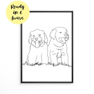 Custom Pet Portrait, Custom Line Art, Pet Portrait Drawing, Sketches From Photo, Personalized Gifts , Dog Portrait, Cat Portrait (Digital)