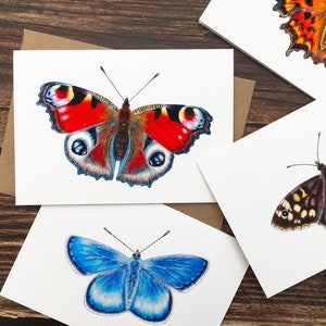 Conjunto de cartões de borboletas britânicas - Pacote de 6 cartões - Cartões de arte da natureza A6 - Cartões de felicitações em branco - Impressões de arte A6
