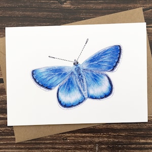Biglietto farfalla blu comune - Biglietto farfalla britannico - Biglietto d'arte naturalistica - Fauna selvatica del Regno Unito - Biglietto di auguri vuoto - Stampa artistica A6