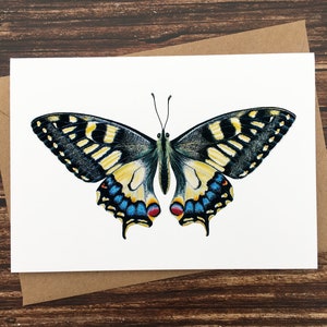 Schwalbenschwanz Schmetterling Karte - Schmetterlinge der Welt - Natur Kunst Karte - Blanko Grußkarte - A6 Kunstdruck