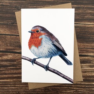 Cartão de Robin Europeu - Cartão de Pássaro Britânico - Cartão de Arte da Natureza - Vida Selvagem do Reino Unido - Cartão de Saudações em Branco - Impressão Artística A6