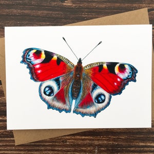 Peacock Butterfly Card - British Butterfly Card - Nature Art Card - UK Wildlife - Blank Greeting Card - A6 Art Print