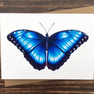 Cartão Blue Morpho Butterfly - Borboletas do Mundo - Cartão de Arte da Natureza - Cartão de Saudação em Branco - Impressão Artística A6