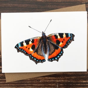 Cartão de borboleta pequena com casco de tartaruga - Cartão de borboleta britânico - Cartão de arte da natureza - Vida selvagem do Reino Unido - Cartão de felicitações em branco - Impressão artística A6