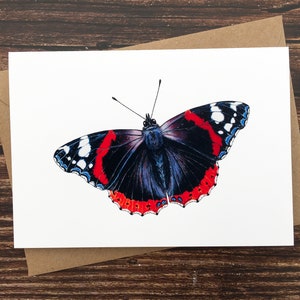 Biglietto con farfalla Vanessa Atalanta - Biglietto con farfalla britannica - Biglietto con arte naturalistica - Fauna selvatica del Regno Unito - Biglietto d'auguri vuoto - Stampa artistica A6