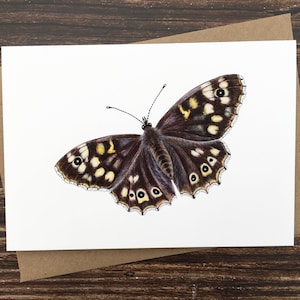 Biglietto con farfalla maculata - Biglietto d'auguri con arte naturalistica - Fauna selvatica del Regno Unito - Biglietto d'auguri vuoto - Stampa artistica A6