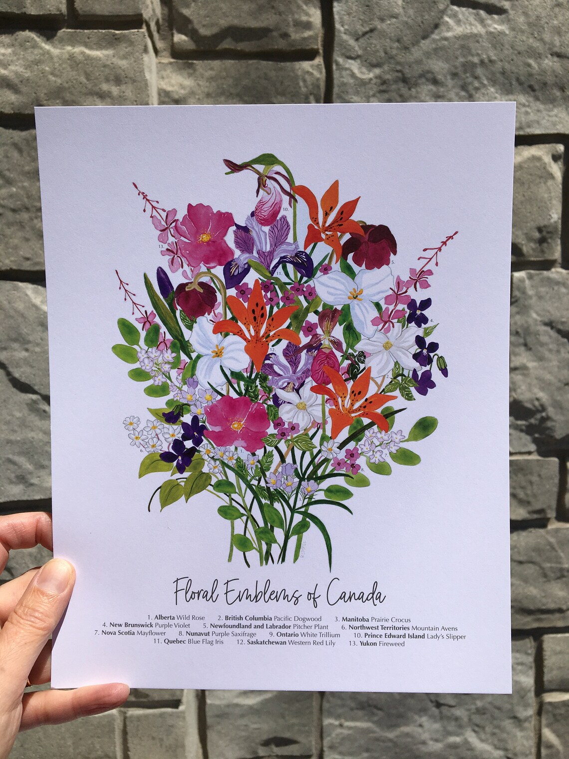 Floral Emblems of Canada Bouquet Unframed Art Print 8x10 Etsy UK