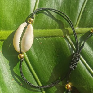May include: A black cord bracelet with a white seashell charm and gold beads.