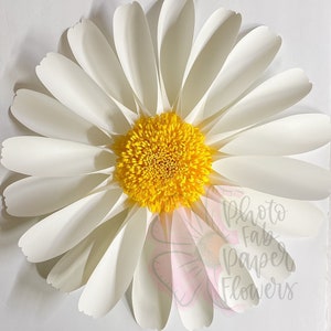 Modello di fiore di carta margherita grande file digitale / SVG/PNG/PDF / sfondo di fiori di carta / modelli di fiori / grandi fiori di carta